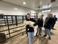 Occupational Therapy sudent holding a lamb to weigh it at the AT Expo